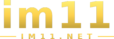 im11 logotipo